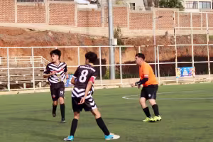 Partido