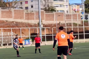 Partido