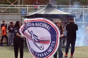 Ingreso
